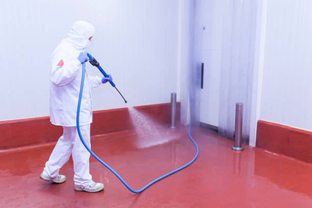 Best Warehouse Cleaning  in Cologne, MN